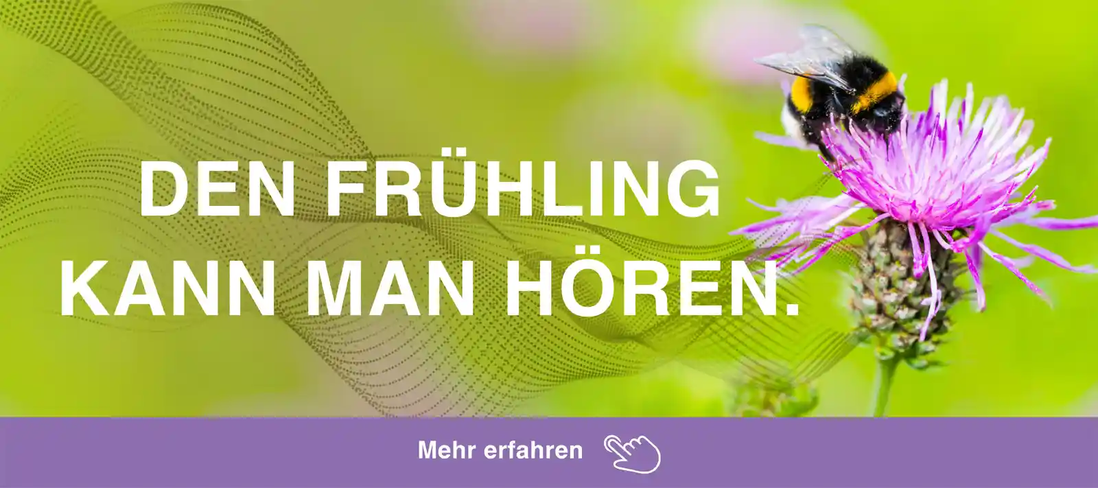 Den Frühling kann man hören - Hör von Knoop